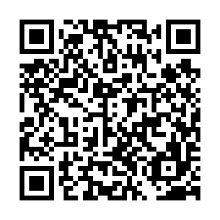 QR code for plate DWE 696