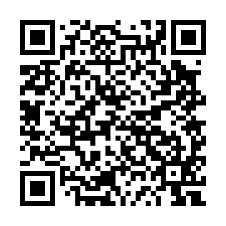 QR code for DWG 095