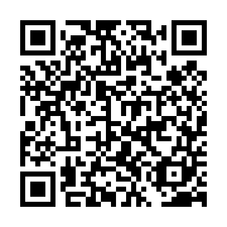 QR code for DWG 441