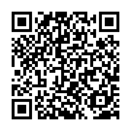 QR code for DWL 295