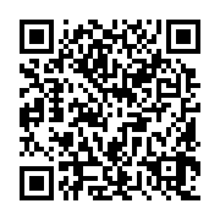 QR code for plate DWM 388