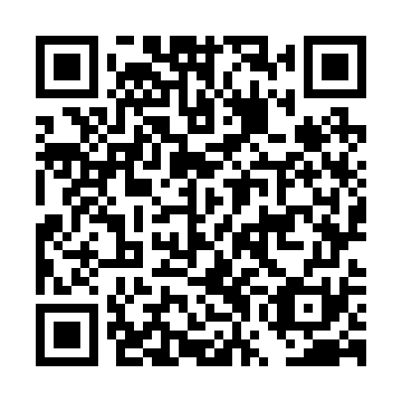 QR code for plate DWO 271