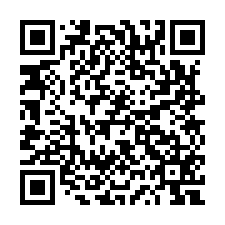 QR code for DWS 955