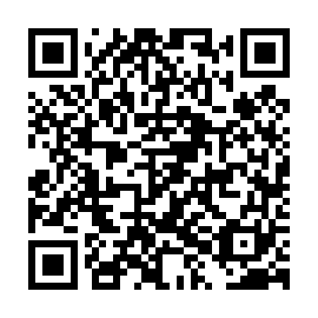 QR code for DXF461