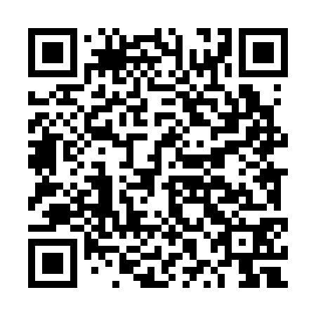 QR code for DXL 370
