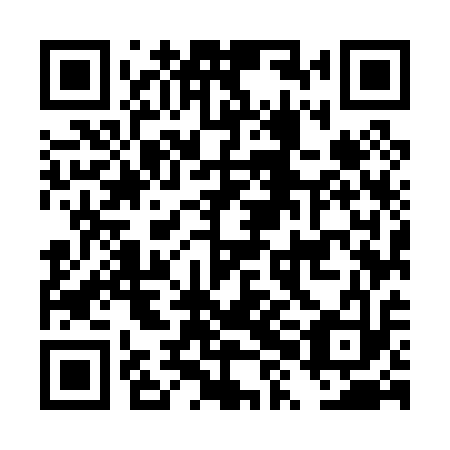 QR code for DXM 013