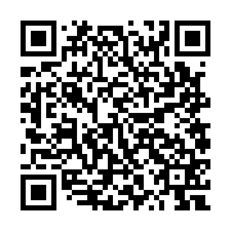 QR code for plate DXV 161