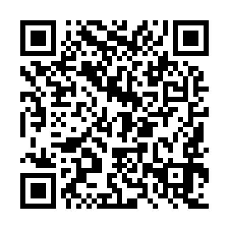 QR code for DXY993