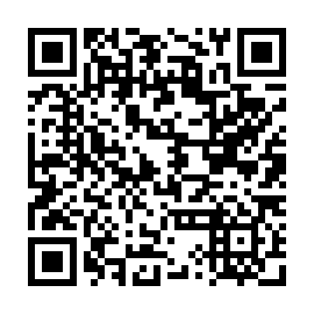 QR code for DYF 489