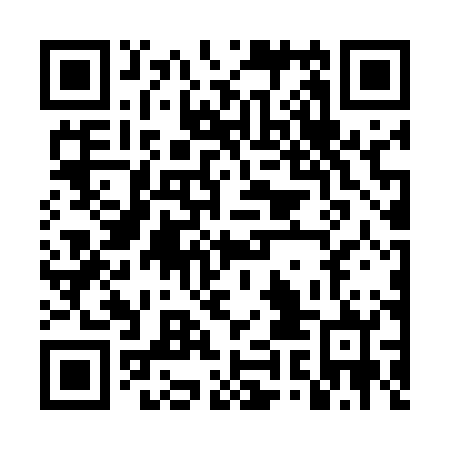 QR code for plate DYF 502