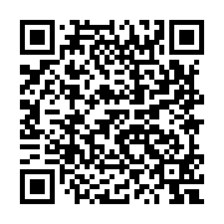 QR code for DYI 991