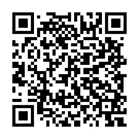 QR code for plate DYL 540