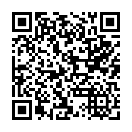 QR code for DYN 406