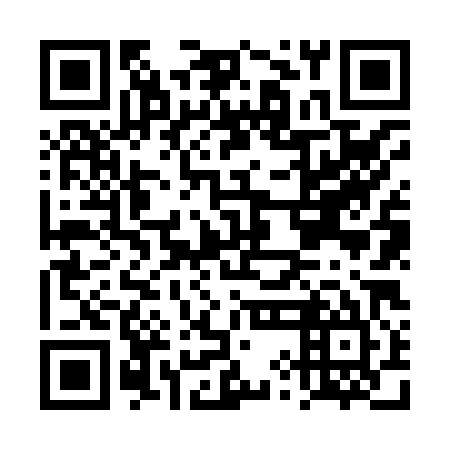 QR code for plate DYN 885