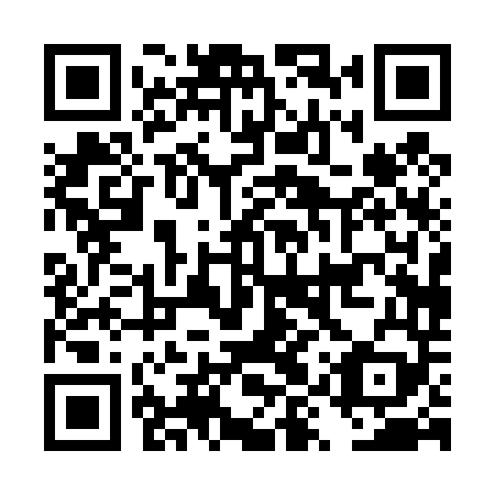 QR code for plate DYP 449
