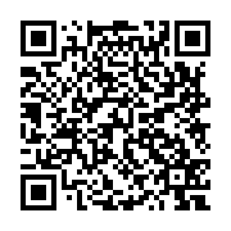 QR code for DYP937