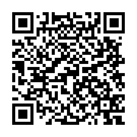 QR code for plate DYR 535