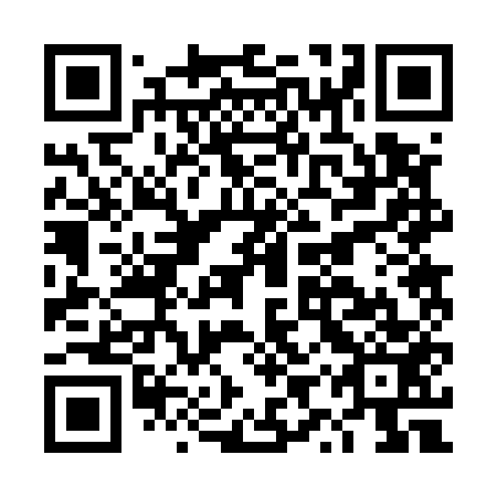 QR code for plate DYR 553