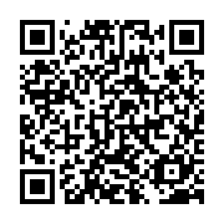 QR code for DYS 325