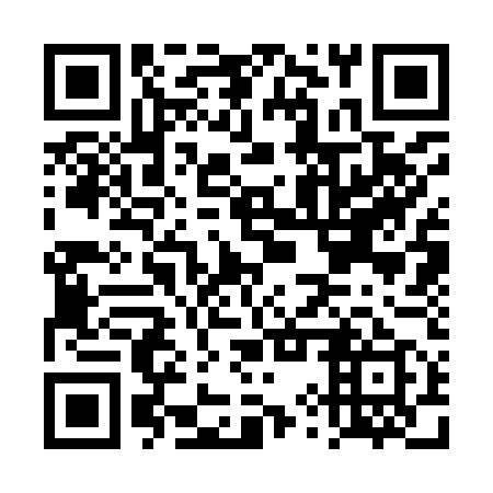 QR code for DYS 959