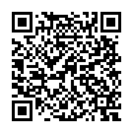 QR code for DYS513