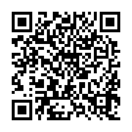 QR code for DYV 398