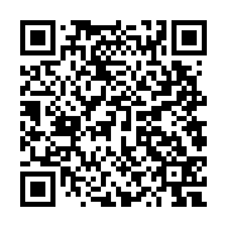 QR code for DYV 733