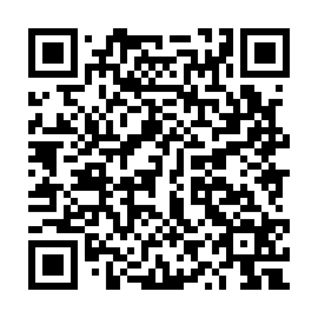 QR code for plate DYX 124