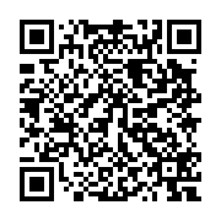QR code for plate DYY 019