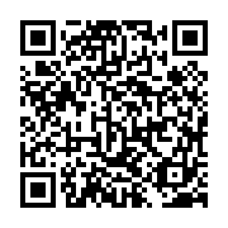 QR code for plate DYZ 073