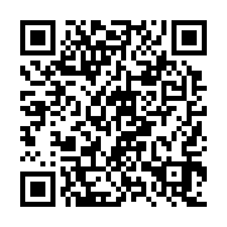 QR code for DYZ313