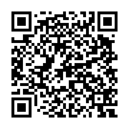 QR code for DZB 419