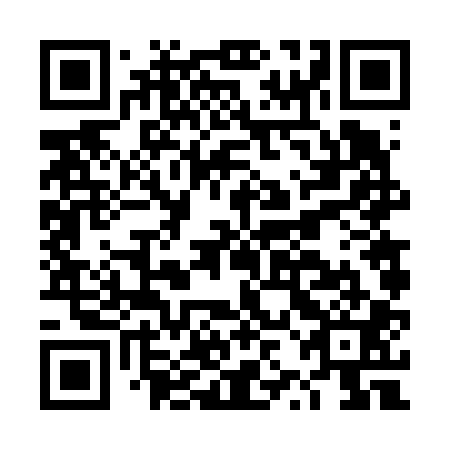 QR code for plate DZF 601