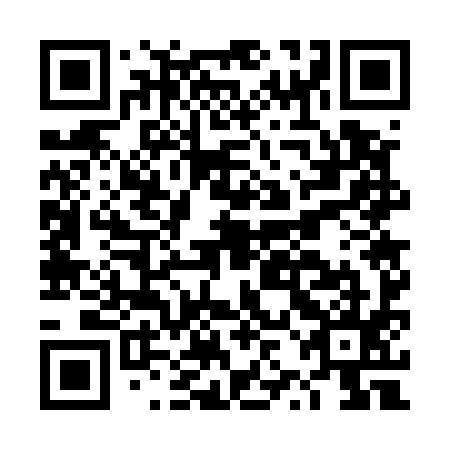 QR code for plate DZG 595