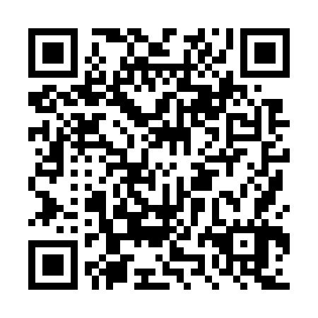 QR code for DZH 767