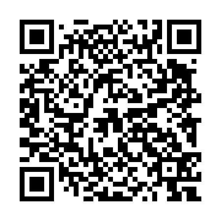 QR code for DZL 433