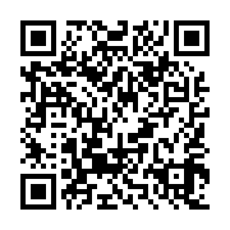 QR code for plate DZL 019