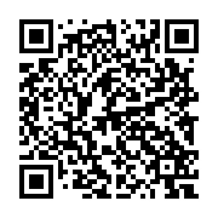 QR code for plate DZL 127