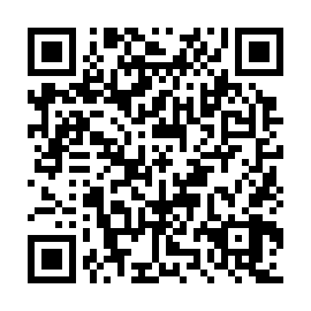 QR code for plate DZN 368