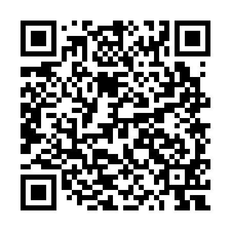 QR code for DZO 391