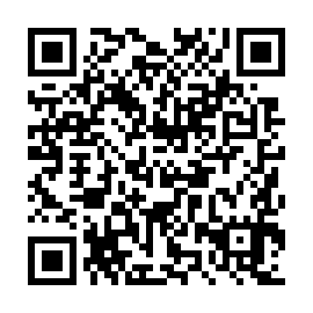 QR code for DZP 795