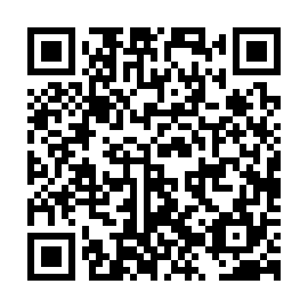 QR code for DZP374