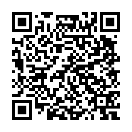 QR code for DZP471