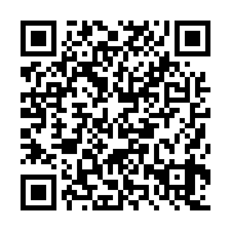 QR code for DZP539