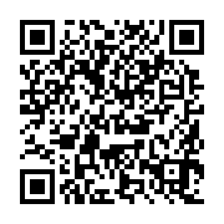 QR code for DZQ 390