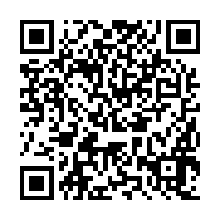 QR code for DZR 196
