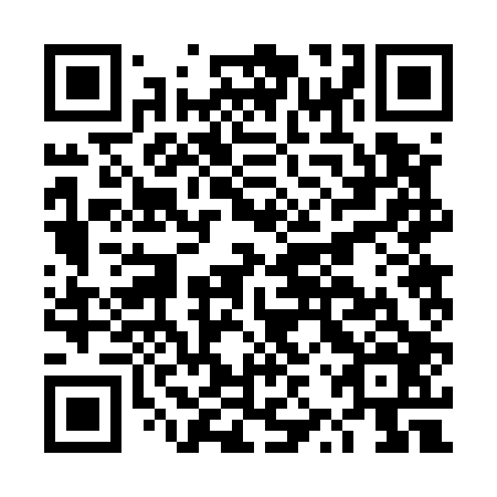 QR code for plate DZR 506