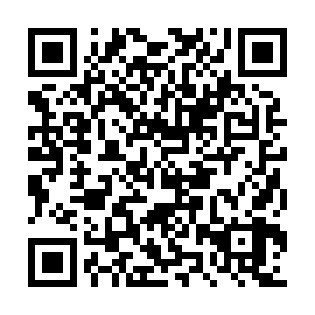 QR code for plate DZR 868