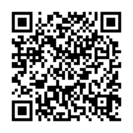 QR code for plate DZT 340
