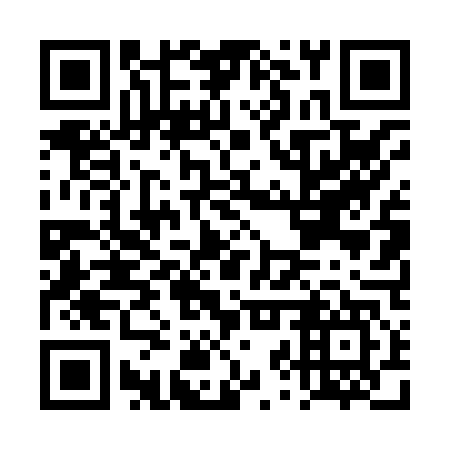 QR code for plate DZT 847